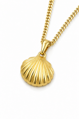 18K Gold Women's Clam Pendant Chain Necklace
