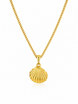 18K Gold Women's Clam Pendant Chain Necklace