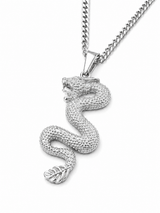 Sterling Silver Dragon Pendant Chain Necklace