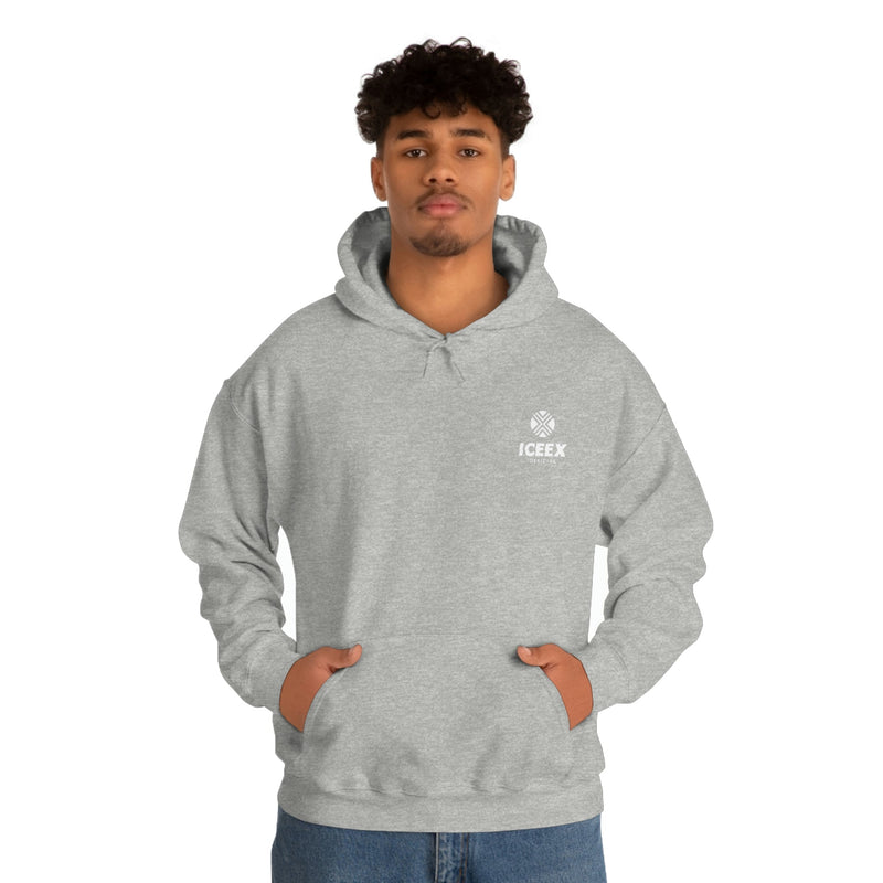 Essentials Navy ICEEX Hoodie