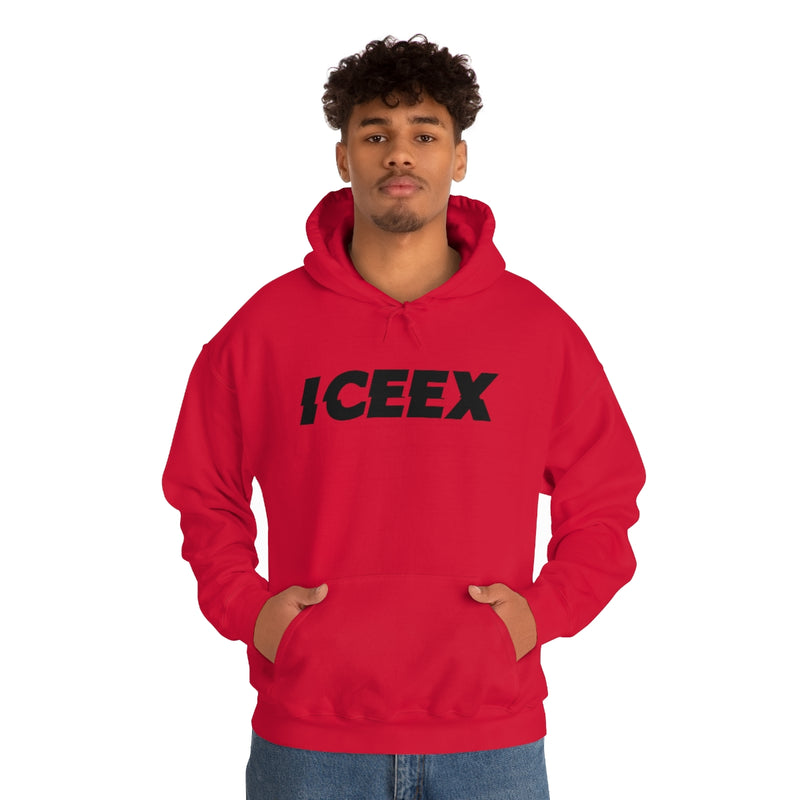 X HOODIE