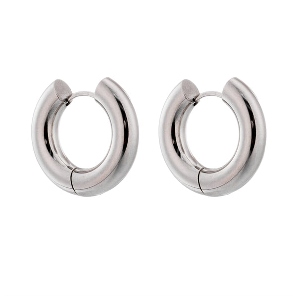 Sterling Silver Ring Earrings