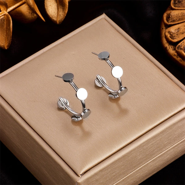 Sterling Silver The irfani Earrings