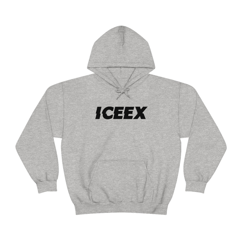 X HOODIE